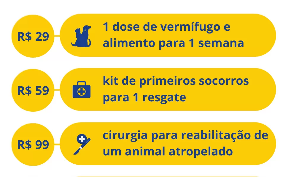Impacto da sua doação